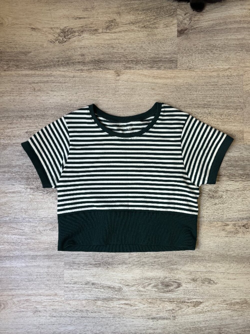 OFFLINE By Aerie Sidewalk Seamless Cropped T-Shirt, Green striped, Size Large